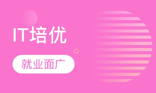 IT培优