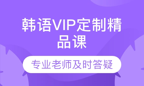 韩语VIP定制精品课