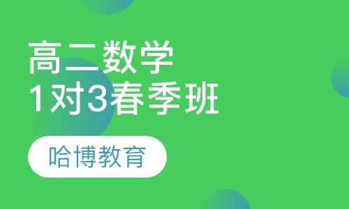 高二数学1对3春季精品班