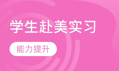 大学生赴美专业实习