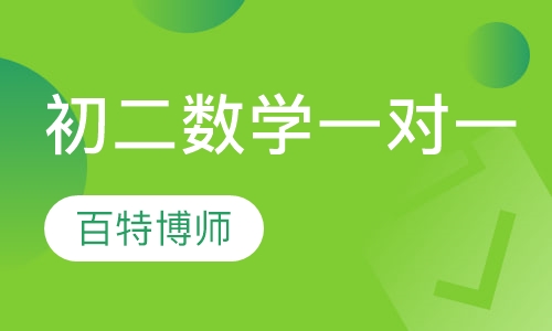 初二数学一对一个性化辅导