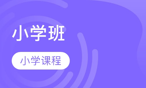 小学文化课辅导