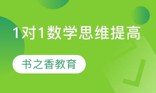 1对1数学思维提高