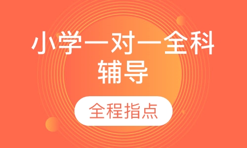 小学一对一全科辅导