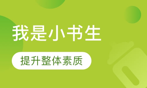 我是小书生