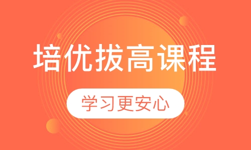 1对1培优拔高课程