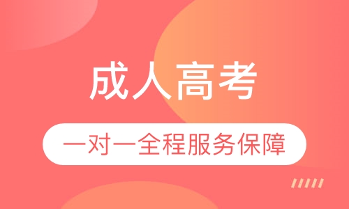 录播课+直播课成人高考