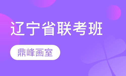 辽宁省联考班