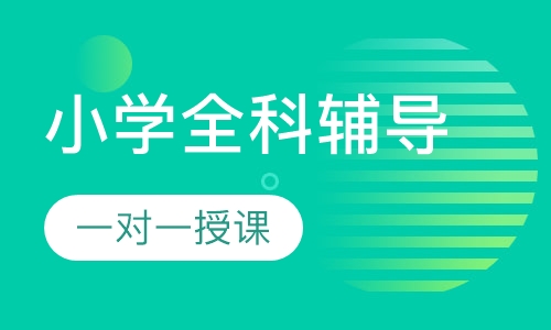 小学一对一全科辅导