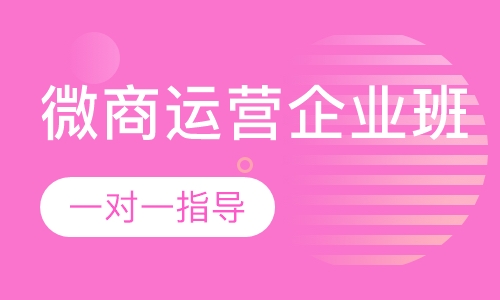 微商运营企业班