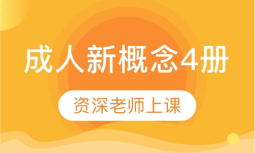 成人新概念4册