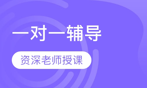 一对一辅导