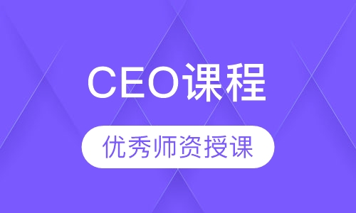 CEO课程