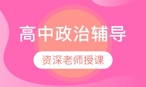 高中一对一政治辅导