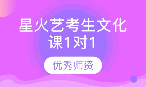 星火艺考生文化课1对1