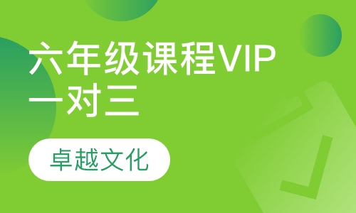 卓越文化小学六年级课程VIP一对三