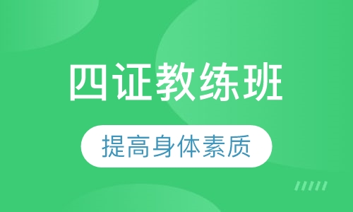 VIP全能职业舞蹈教练班——钢管舞、爵士舞、领舞、成品舞四证教练班