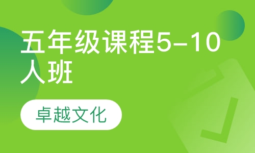 卓越文化小学五年级课程5-10人班