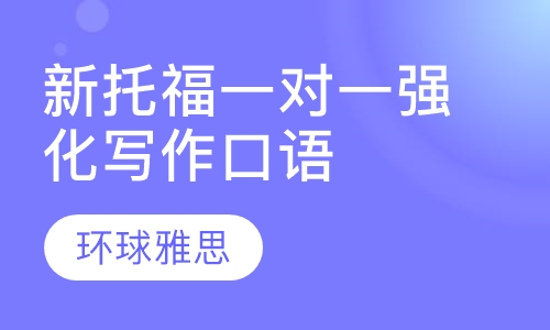 新托福泰斗一对一 强化写作/口语