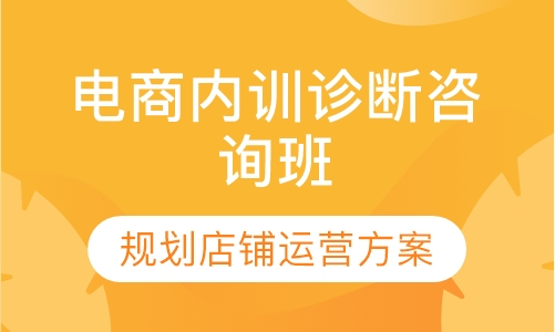 电商内训诊断咨询班