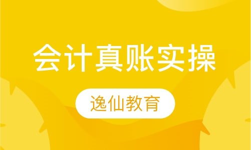 会计真账实操