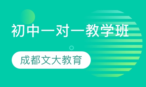 初中一对一教学班