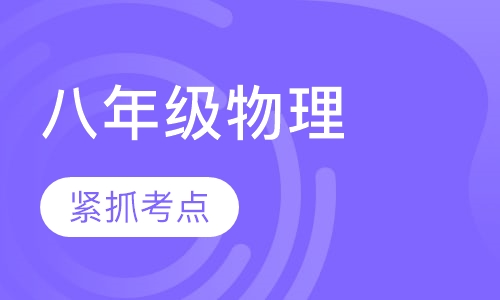 初高中1对1课程八年级物理