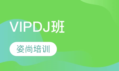 VIPDJ培训班