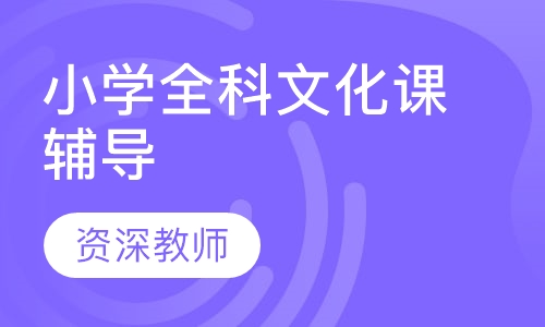 小学全科文化课辅导
