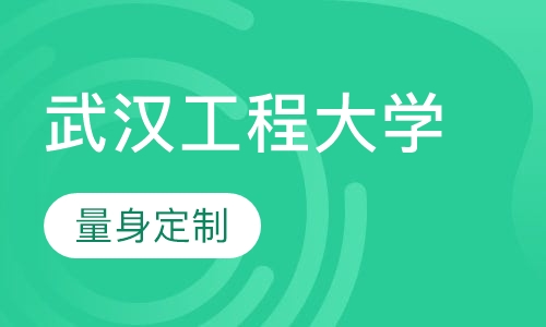 武汉工程大学MBA