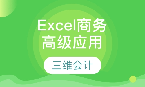 Excel高级商务应用