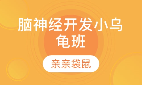 脑神经开发小乌龟班