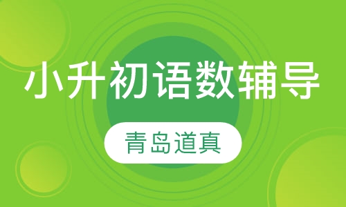 小升初语数辅导