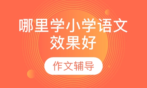 哪里学小学语文效果好