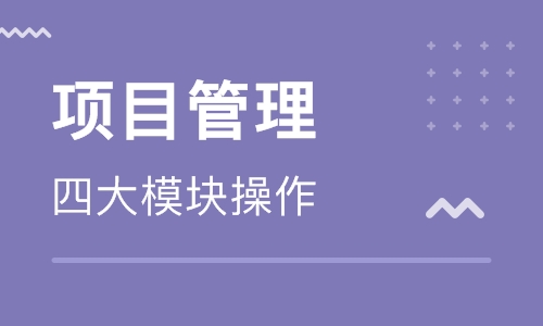 BIM项目管理 （取证+实操班）