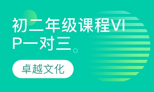 卓越文化初二年级课程VIP一对三