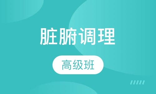 脏腑调理高级班
