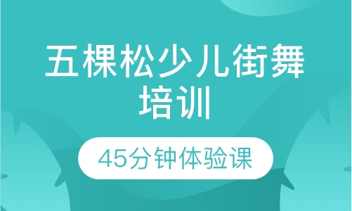 五棵松少儿街舞培训