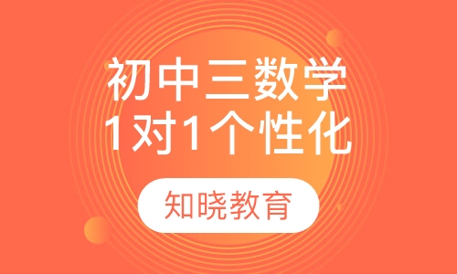 初中三年级数学 1对1个性化辅导