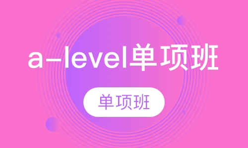 a-level单项班