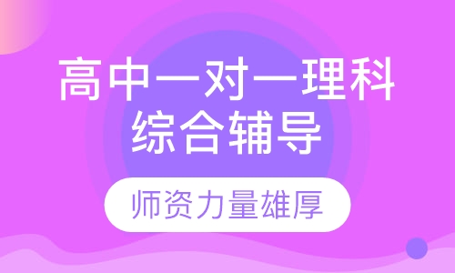 高中一对一理科综合辅导
