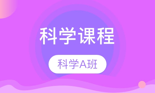 早教科学课程 科学A班