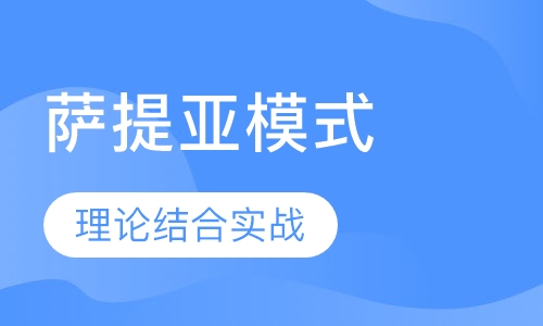 林文采萨提亚模式专业课程