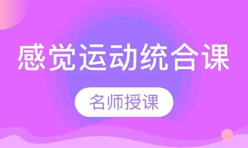 感觉运动统合课
