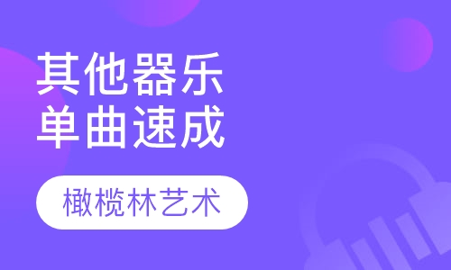 其他器乐单曲速成