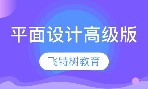 平面设计高级版