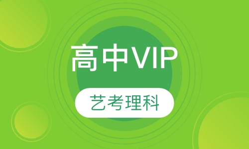 高中VIP一对一艺考理科