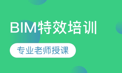 BIM特效培训
