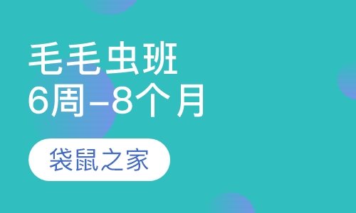 Caterpillar毛毛虫班（6周-8个月）