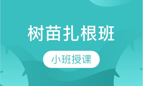 树苗扎根班